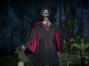 Phantom manor phantom