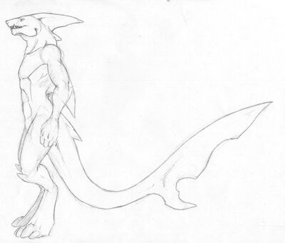 Selakus