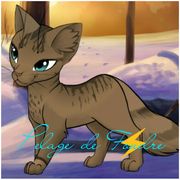 Thunder by Sureau