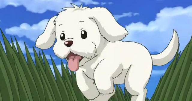 File:Chou Chou Puppy.png