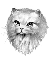 Rivière 2.png
