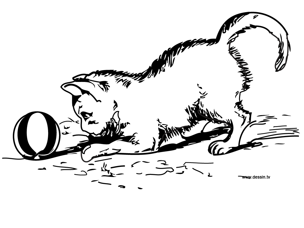 Image Coloriage chaton qui joue 3 Coloriage chaton qui joue 3