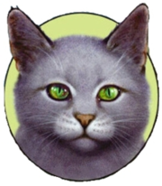 Nuage de Colombe 2.png