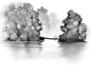 Lîle.png