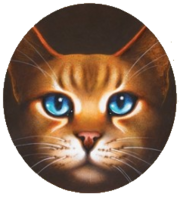 Oeil de Myosotis.png