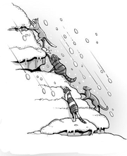 Élus.png