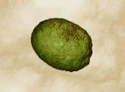 Breadfruit