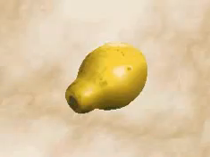 Papaya 3