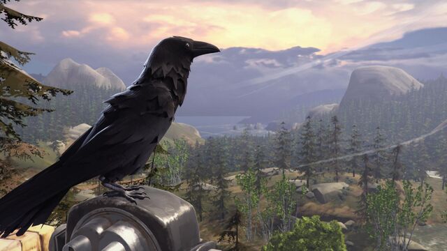 Datei:Crow.jpg