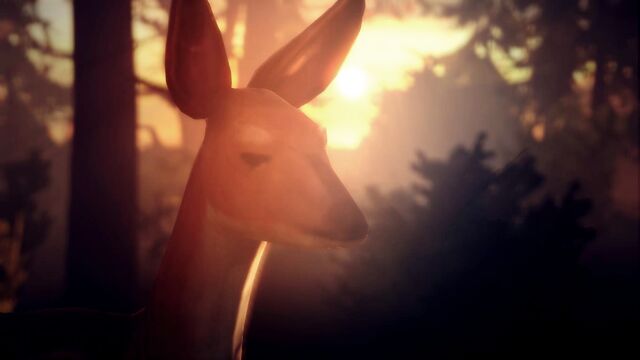 File:LifeIsStrange 2015-05-23 13-27-16-96.jpg