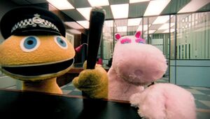 Zippy and George