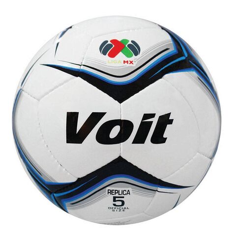 Archivo:VoitB2013.jpg