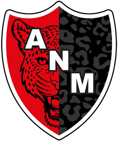 Archivo:ANMlogo.png