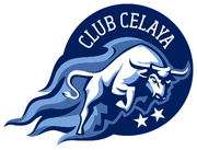 CEL15logo.png