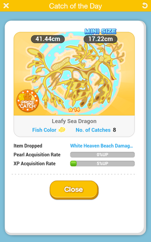 File:Leafy Sea Dragon.png