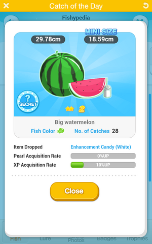File:Big watermelon.png