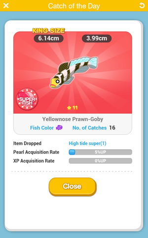 File:Yellownose Prawn-Goby.png