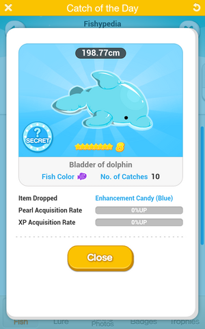 File:Bladder of dolphin.png