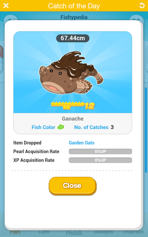 File:Screenshot 2014-03-14-20-26-13.png