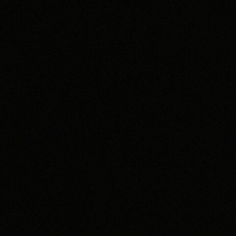 Archivo:Negro.jpg