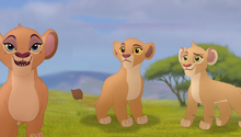 Baboons (24)
