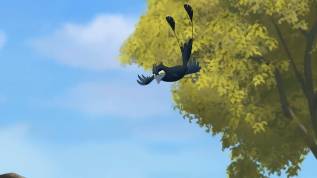 File:The-call-of-the-drongo (267).png