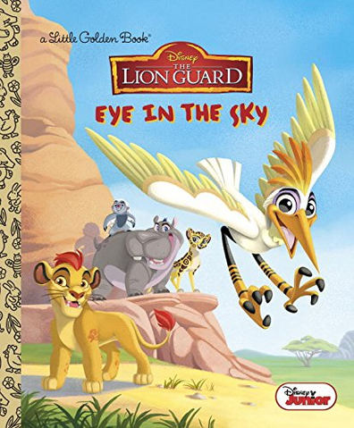File:Eye-in-the-sky.png