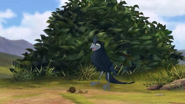 File:The-call-of-the-drongo (119).png