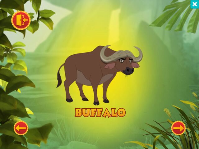 File:Buffalo.jpg