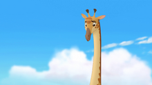 Bunga-the-wise-hd (226)