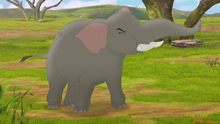 Follow-that-hippo (7)