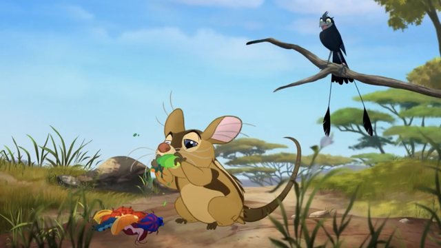 File:The-call-of-the-drongo (269).png