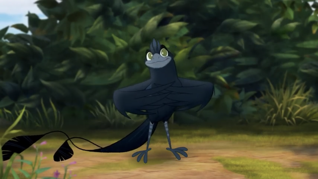 File:The-call-of-the-drongo (144).png