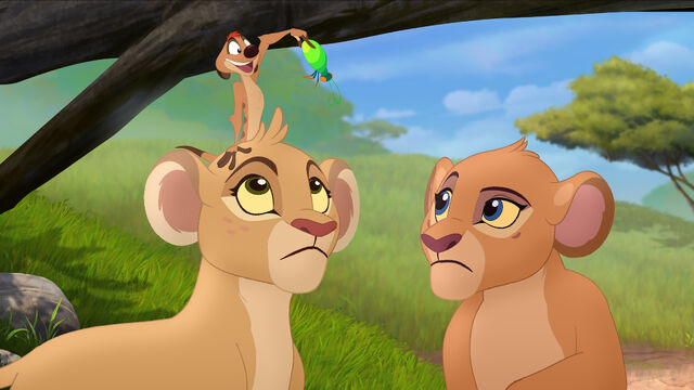 File:Zuri-tiifu-timon.jpg