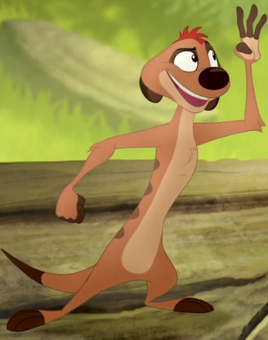 File:Timon-img.png