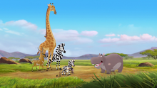 Follow-that-hippo (280)