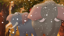 The-kupatana-celebration-hd (386)