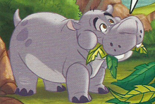 Babyhippo2