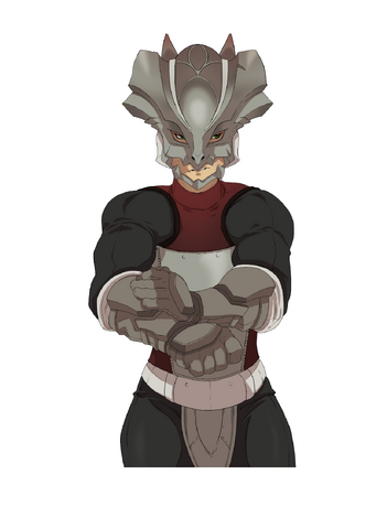 File:Plat D N.png