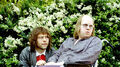 Thumbnail for version as of 18:19, July 7, 2007