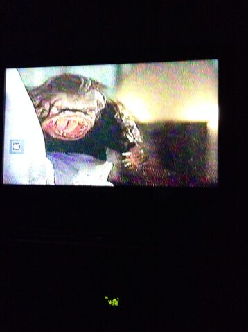 File:Monkey Ghoulie.jpg