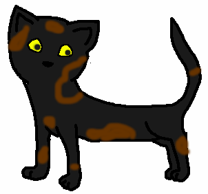 File:Birdeye.png