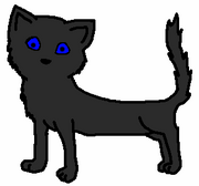 Shadow