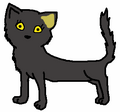 Thumbnail for version as of 06:15, August 16, 2011