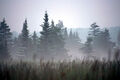 Thumbnail for version as of 08:02, August 16, 2011