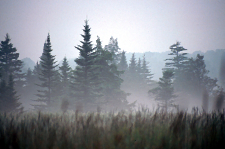 File:Mist.jpg
