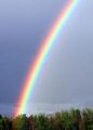 Thumbnail for version as of 19:17, June 21, 2011
