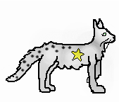 Spottedstar.leader