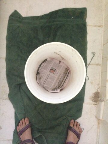 File:Bucket lined with newsprint.jpg