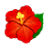 Token Flower